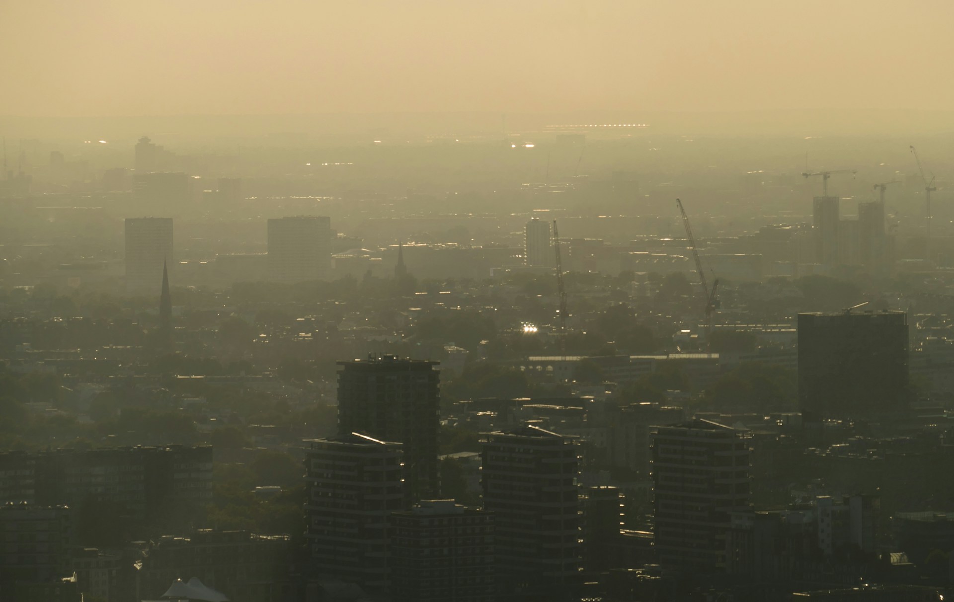 Smog pośrednią przyczyną śmierci tysiąca osób